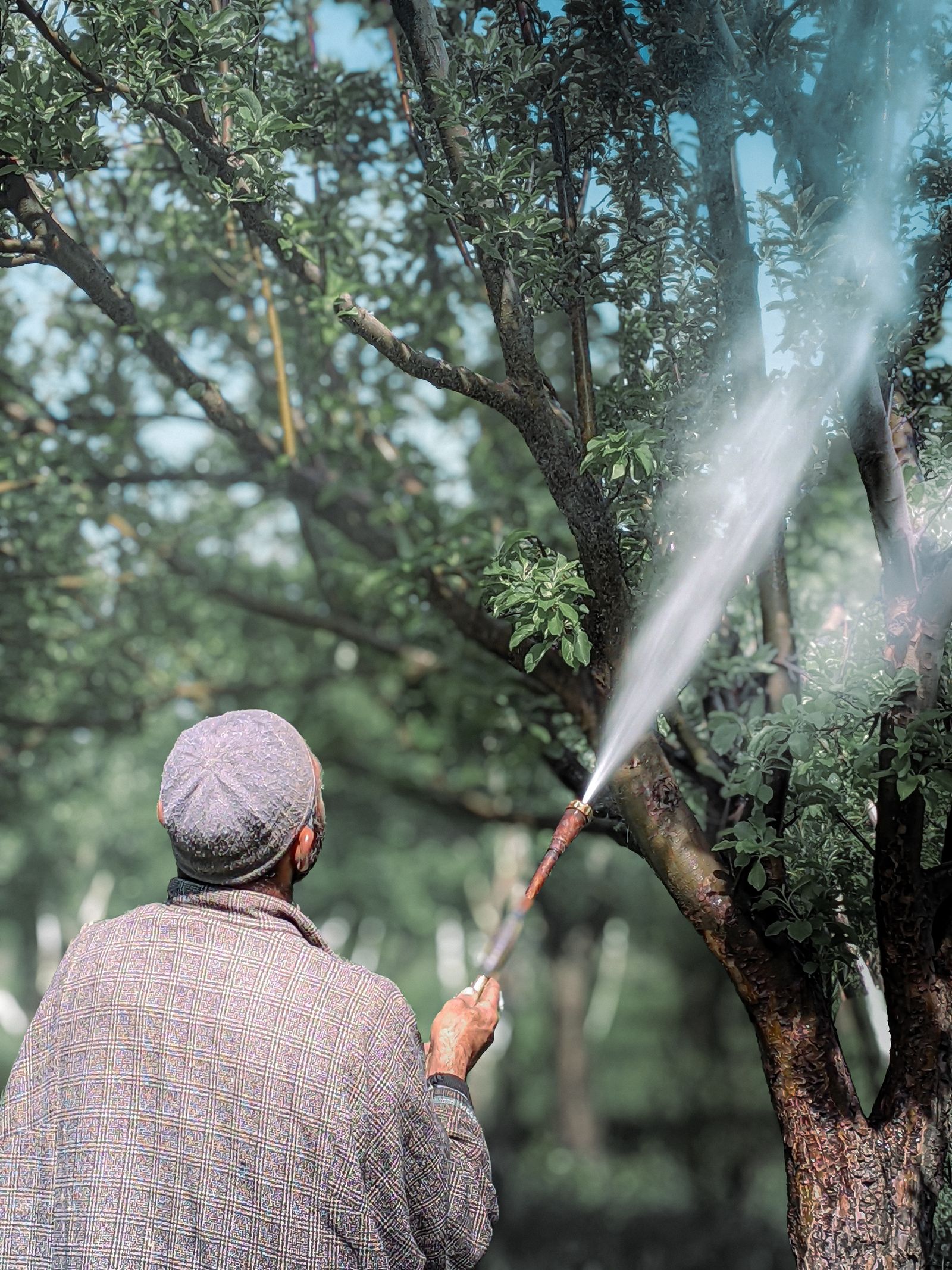 Foliar Insect Controls